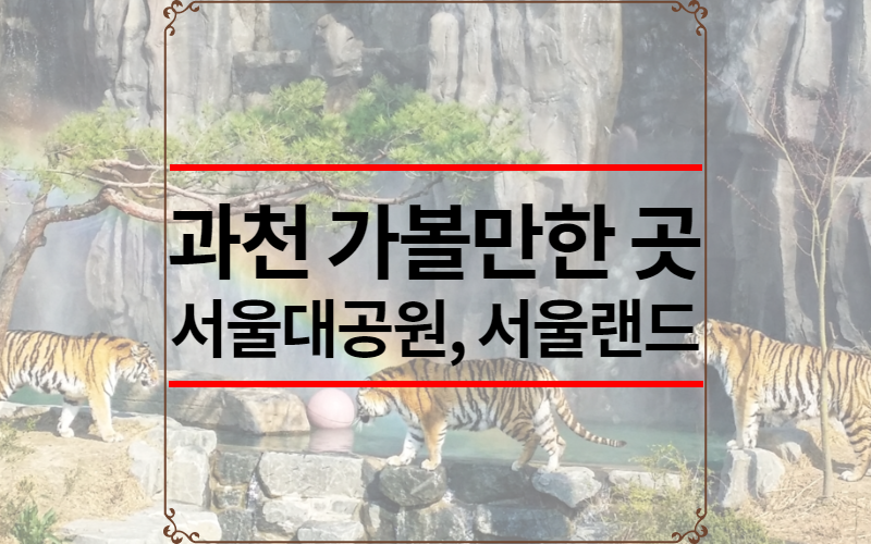 과천 가볼만한 곳