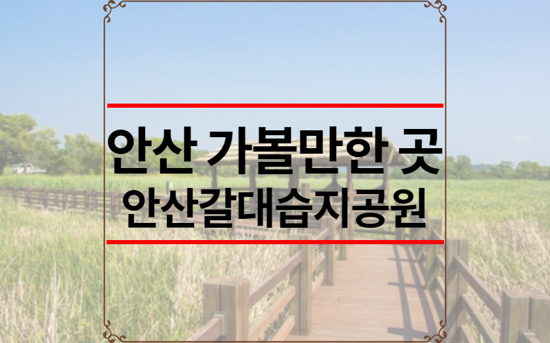 안산 가볼만한 곳