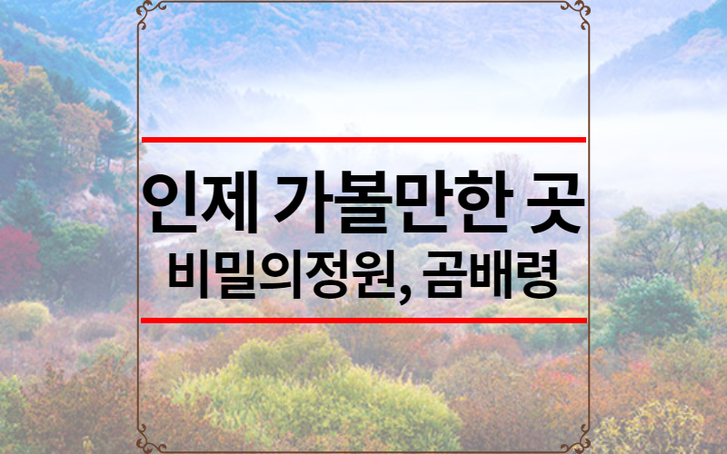 인제 가볼만한 곳