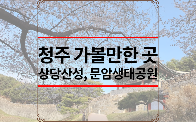 청주 가볼만한 곳