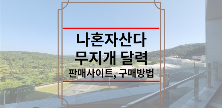 나혼자산다 무지개 달력