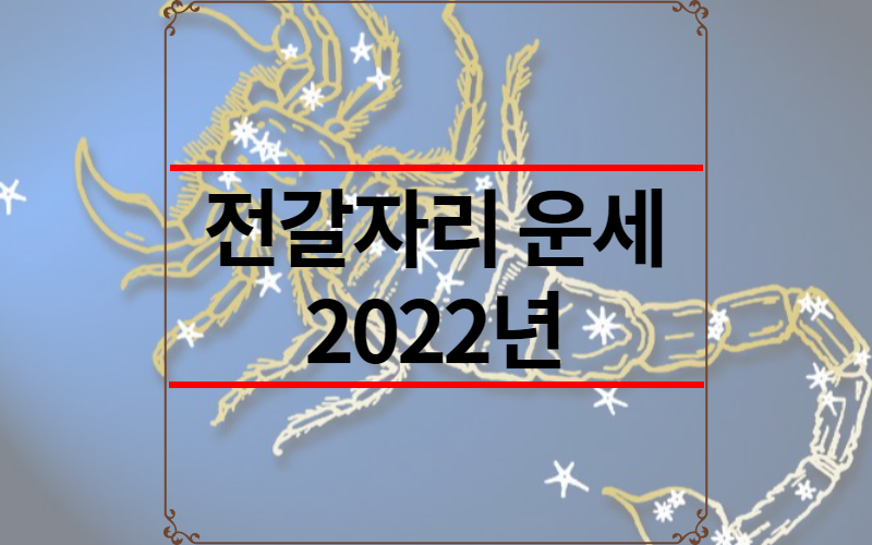 전갈자리 운세 2022년