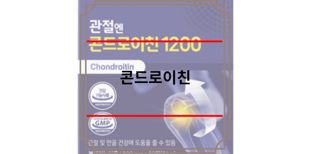 콘드로이친
