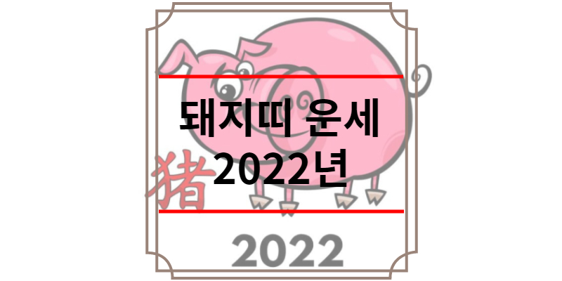 돼지띠 운세 2022년