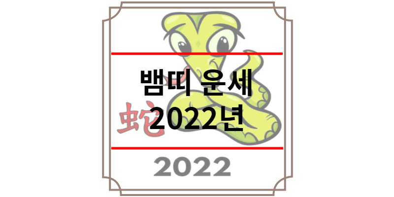 뱀띠 운세 2022년