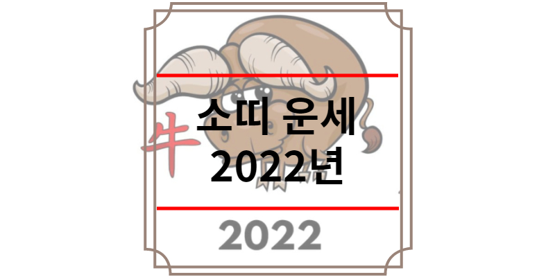 소띠 운세 2022년