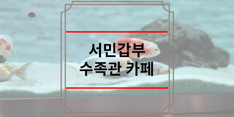 서민갑부 수족관 카페