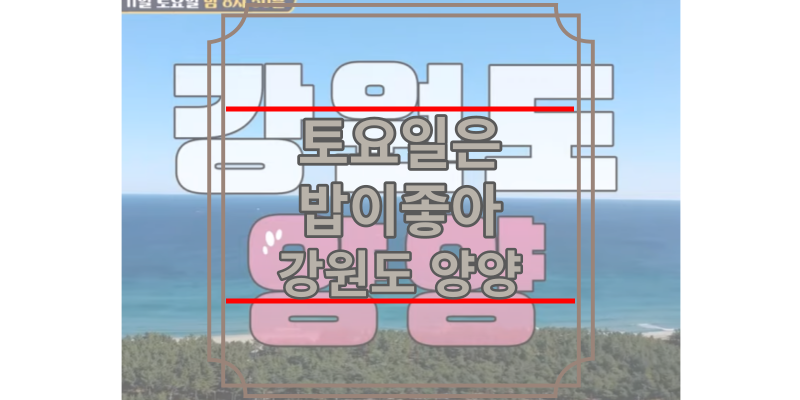 토요일은밥이좋아 양양