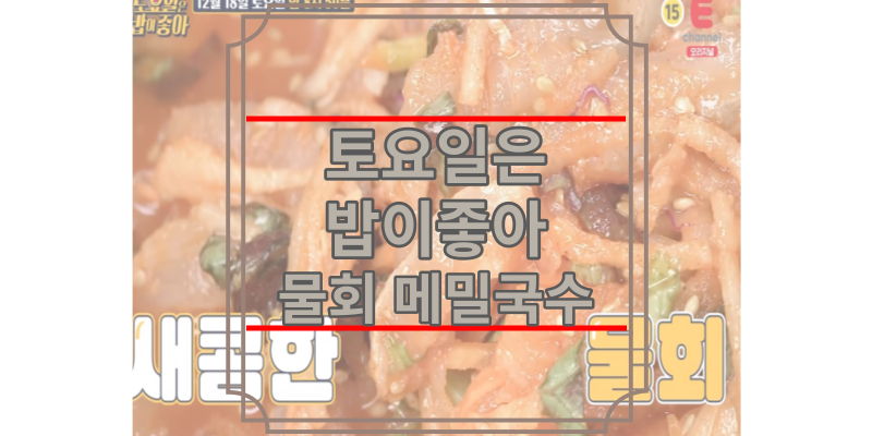 토요일은밥이좋아 물회