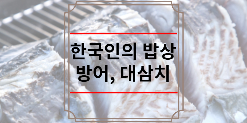 한국인의 밥상 방어