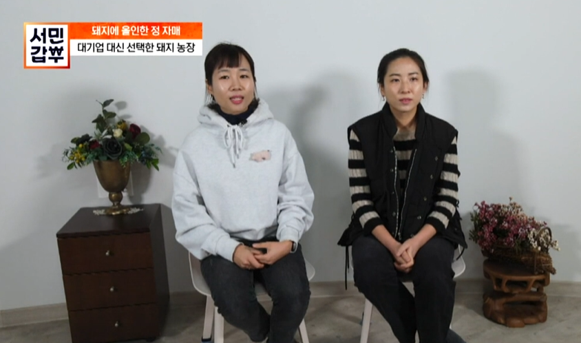 서민갑부 돼지고기