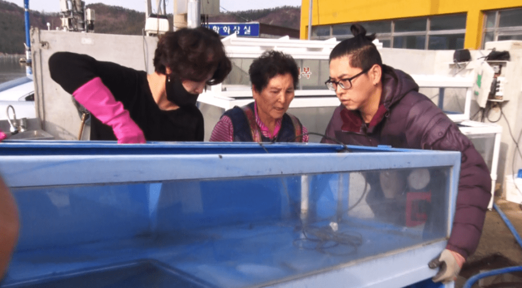 인간극장 쉬미항 한식집