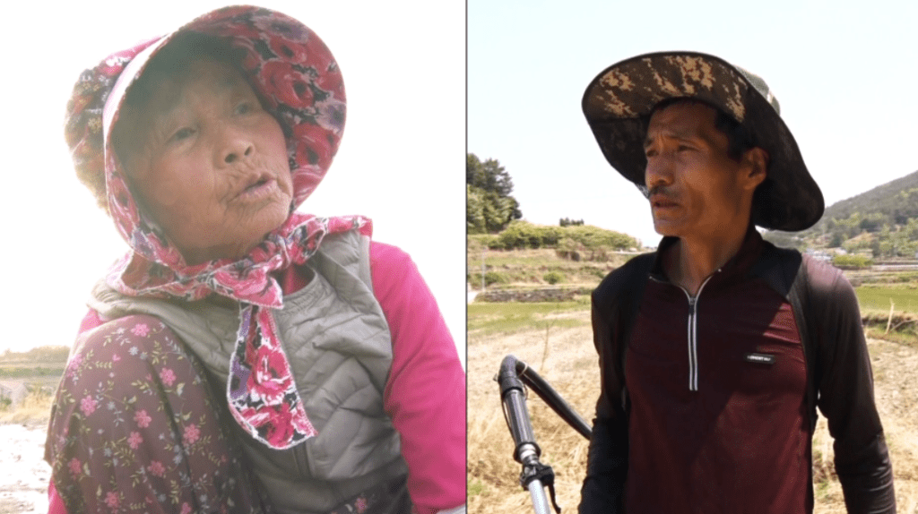인간극장 남해 고사리