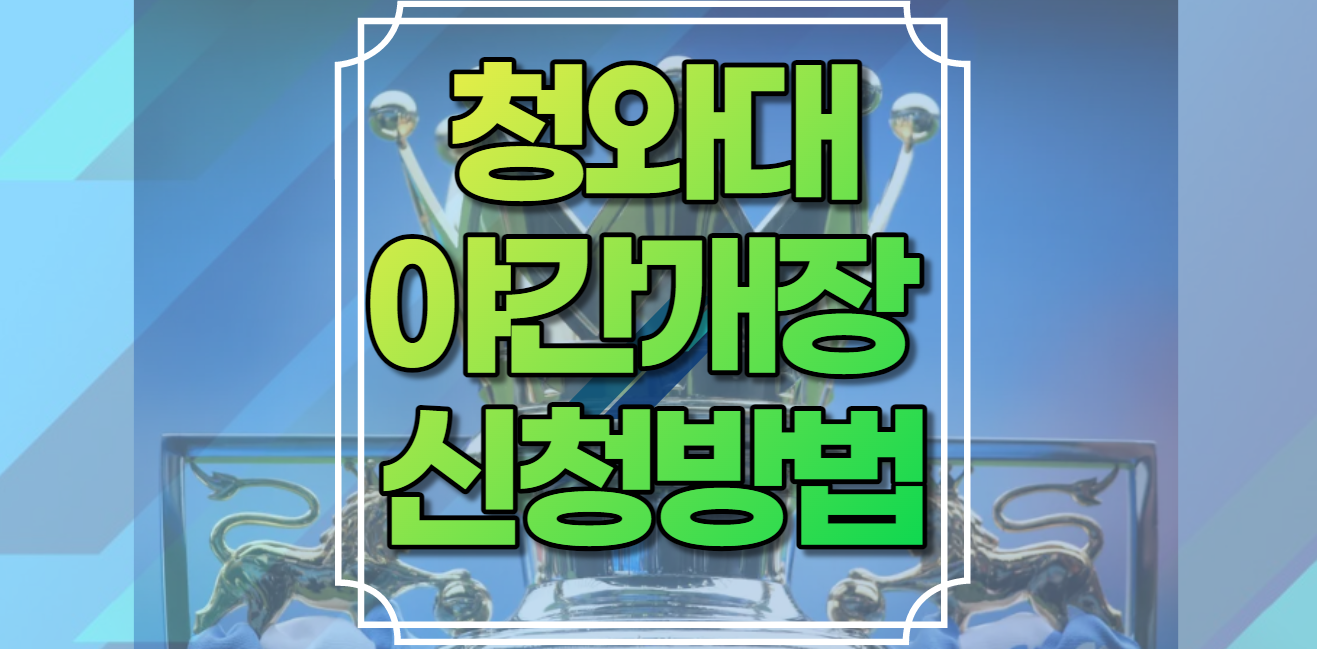청와대야간개장