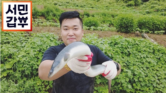 서민갑부 민물 장어
