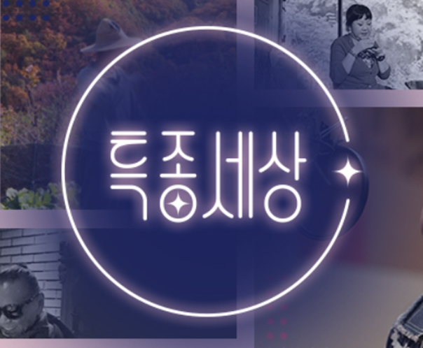 특종세상 보러가기