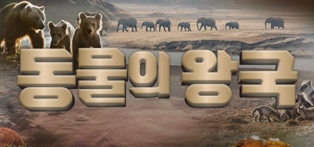 동물의 왕국 보러가기