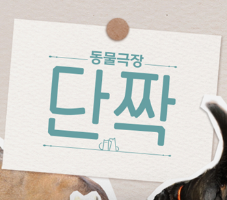동물극장 단짝 보러가기