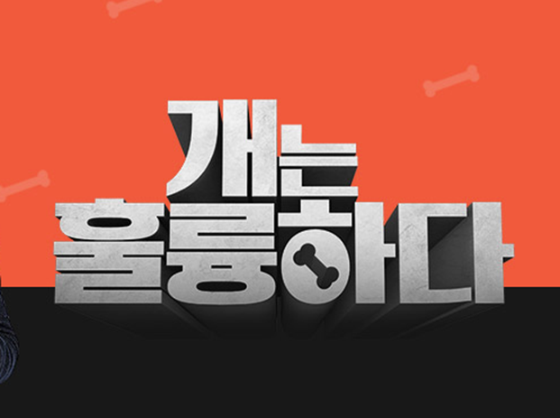 개는 훌륭하다 보러가기