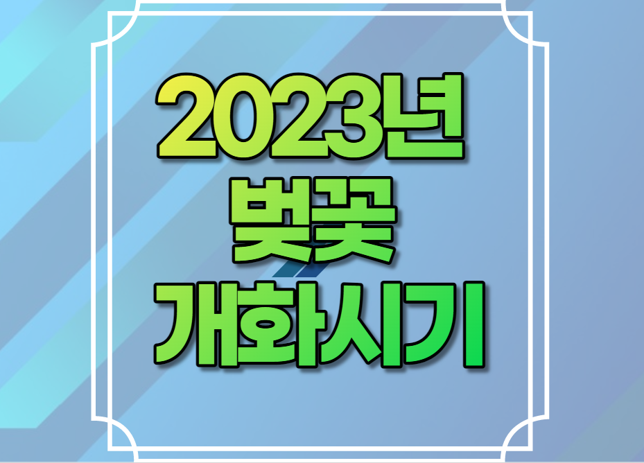 2023년 벚꽃 개화시기