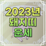 2023년 돼지띠 운세