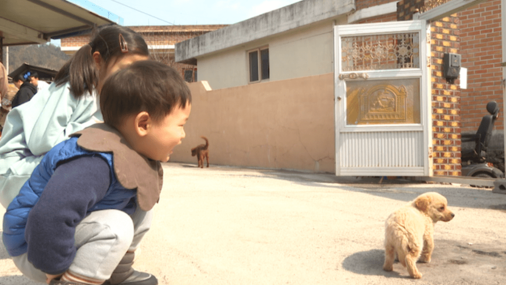 인간극장 소방관