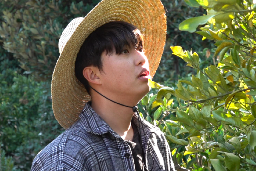 인간극장 제주 서귀포 감귤