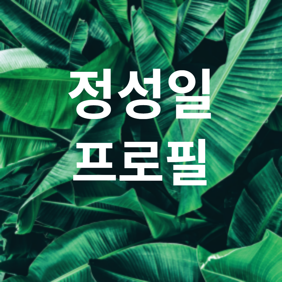 정성일 프로필