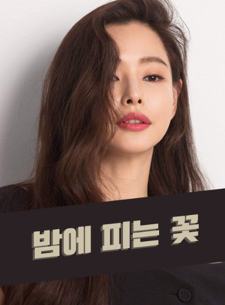 밤에 피는 꽃 다시보기