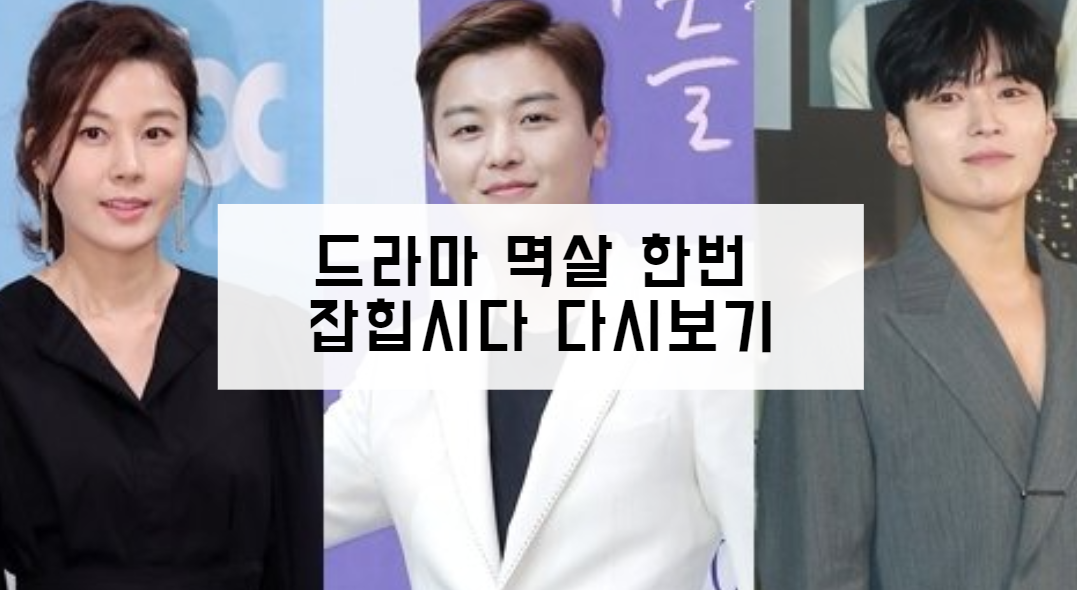 드라마 멱살 한번 잡힙시다 다시보기