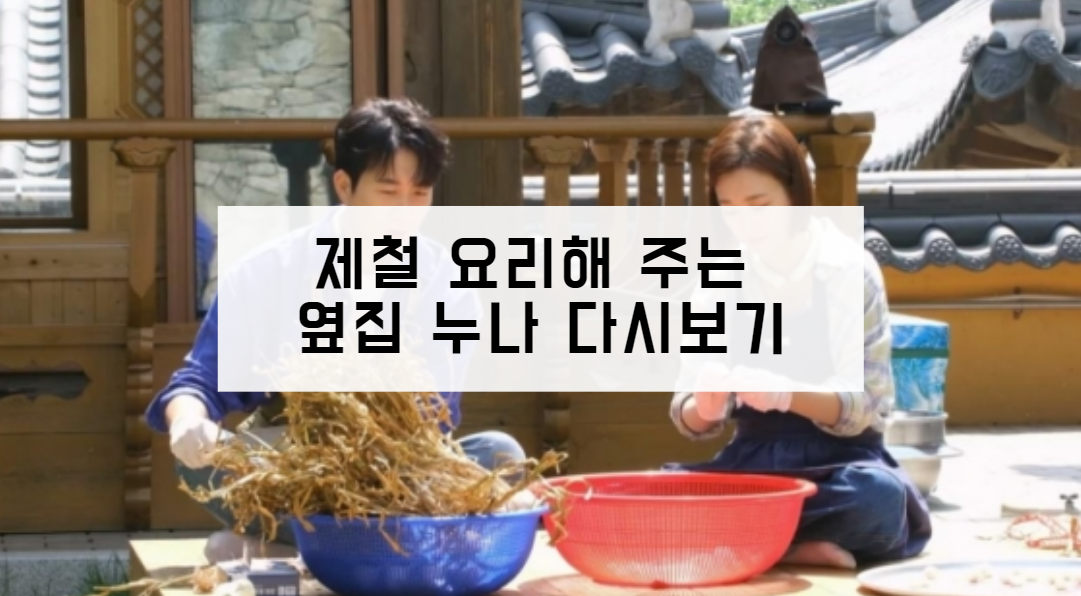 제철 요리해 주는 옆집 누나 다시보기