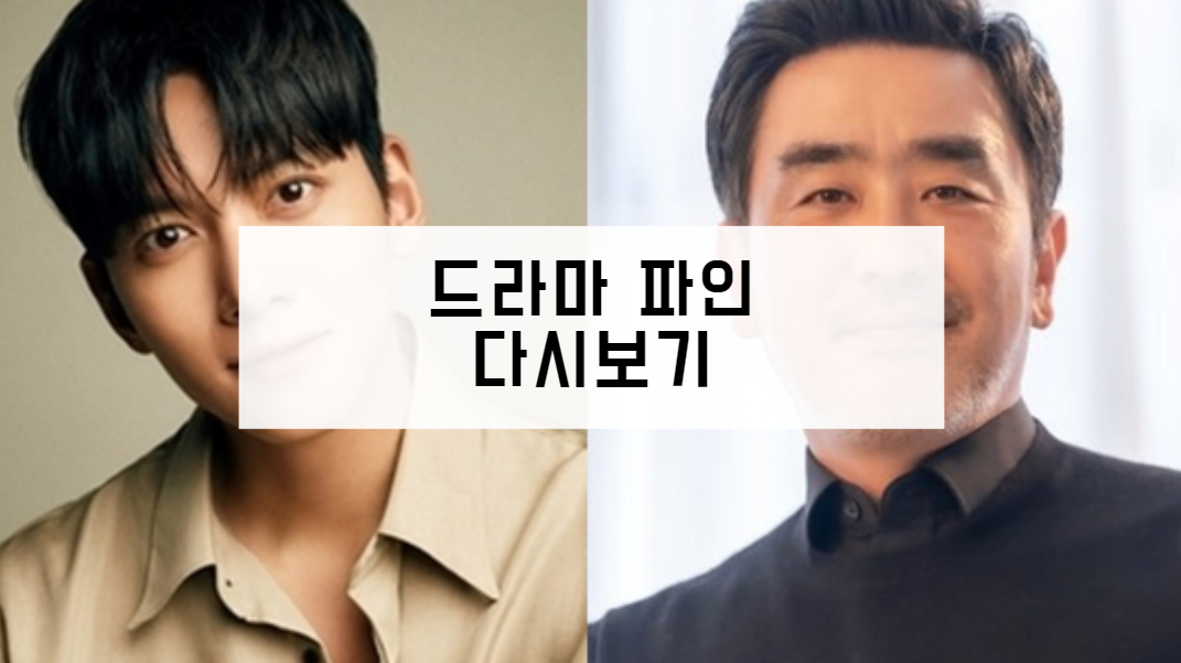 드라마 파인 다시보기