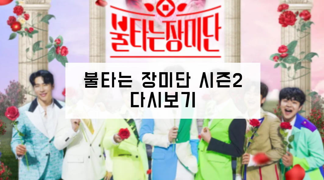 불타는 장미단 시즌2 다시보기