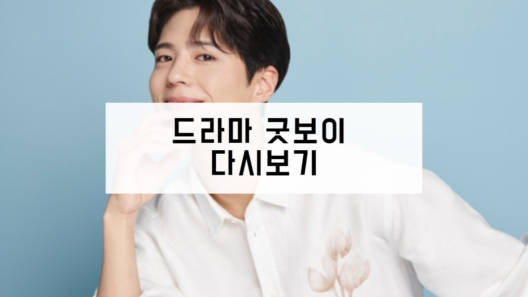 드라마 굿보이 다시보기