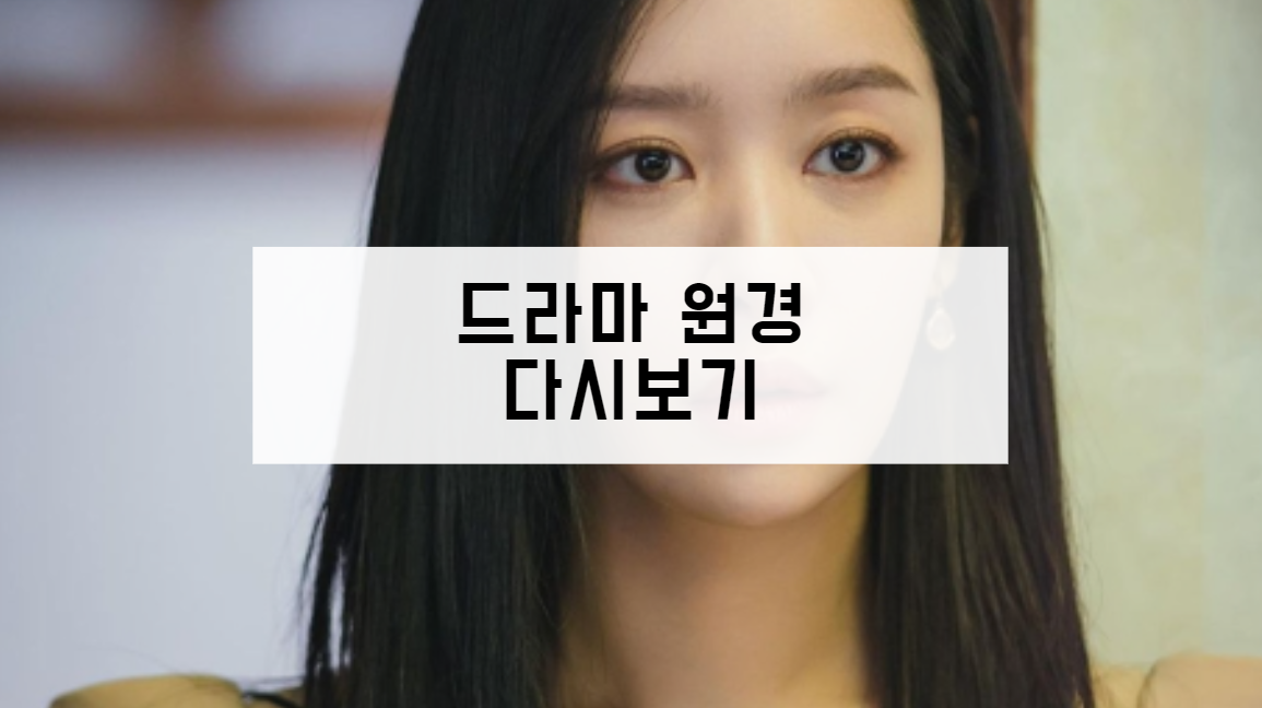 드라마 원경 다시보기