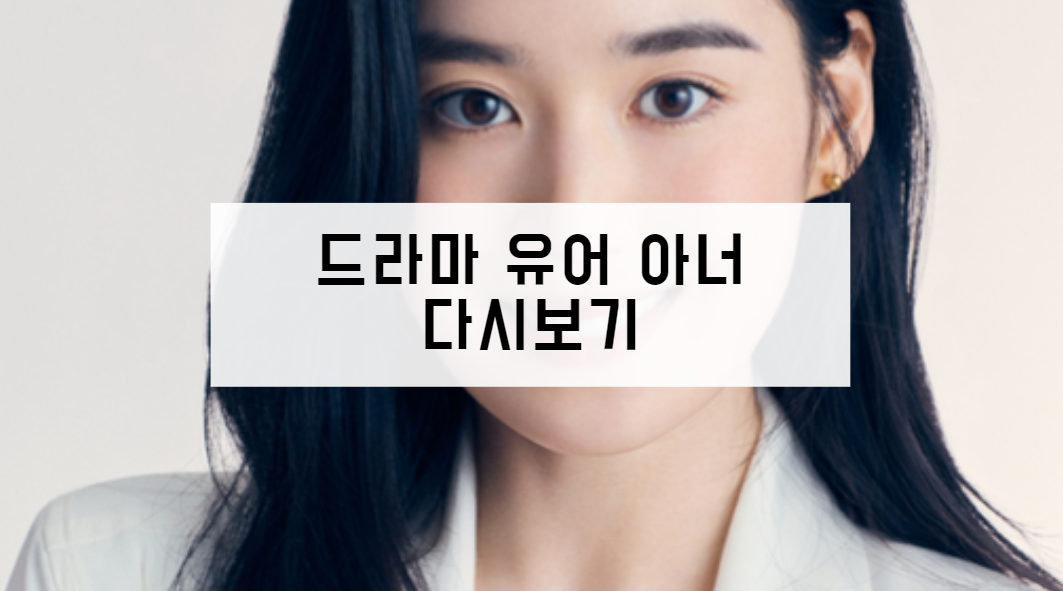드라마 유어 아너 다시보기