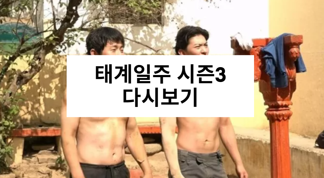 태계일주 시즌3 다시보기