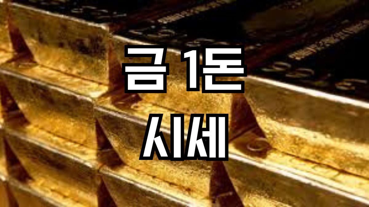 금1돈시세