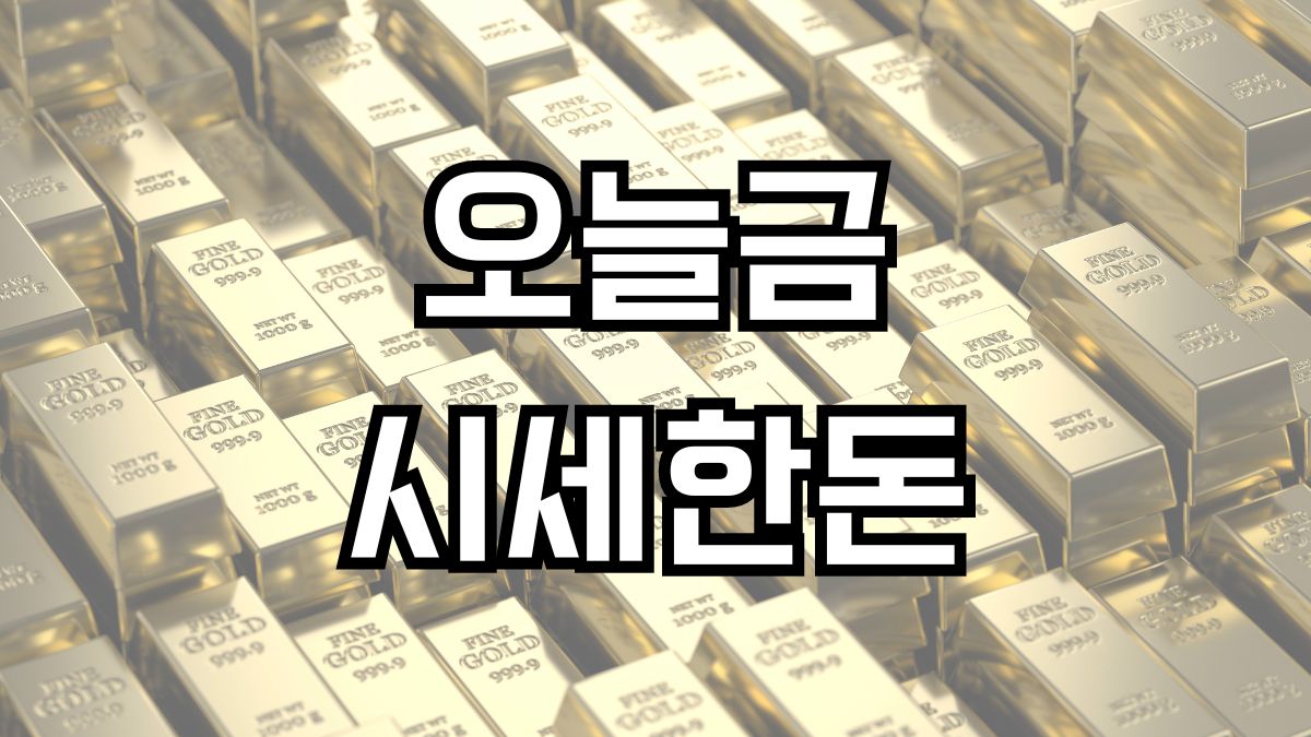 오늘금시세한돈
