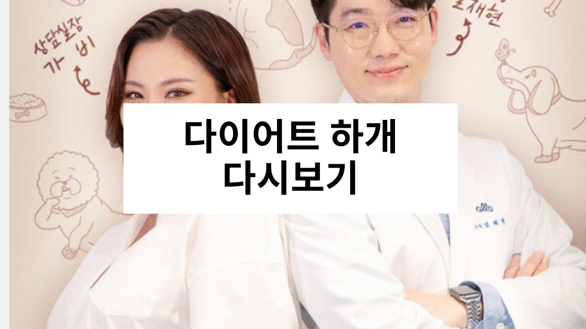 다이어트 하개 다시보기