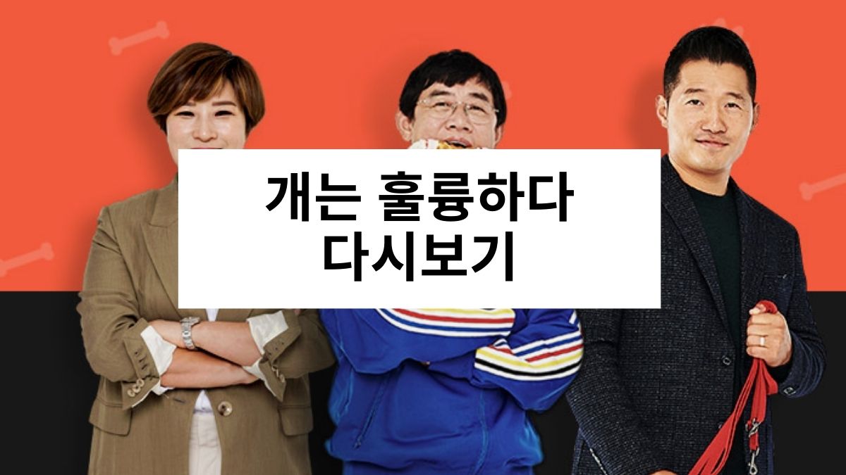 개는 훌륭하다 다시보기