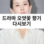 드라마 오얏꽃 향기 다시보기