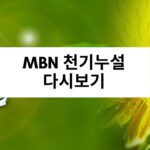 MBN 천기누설 다시보기