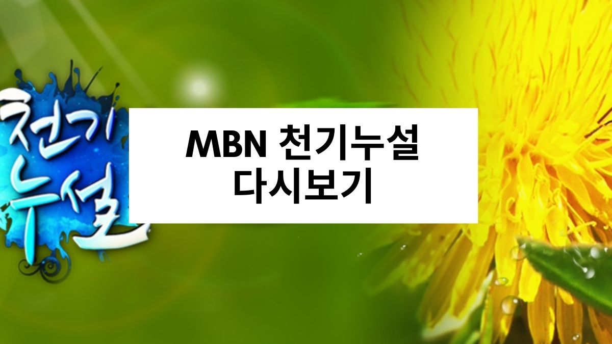 MBN 천기누설 다시보기