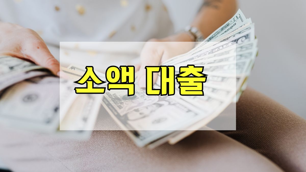 소액대출