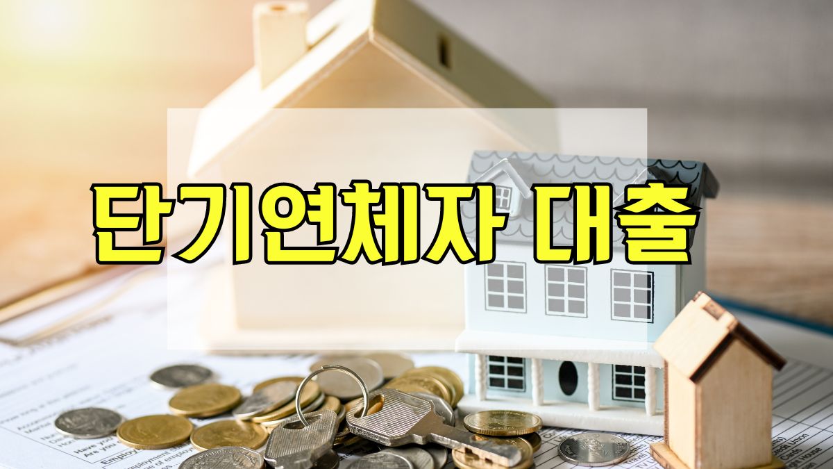 단기연체자 대출