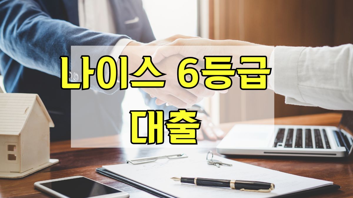 나이스 6등급 대출