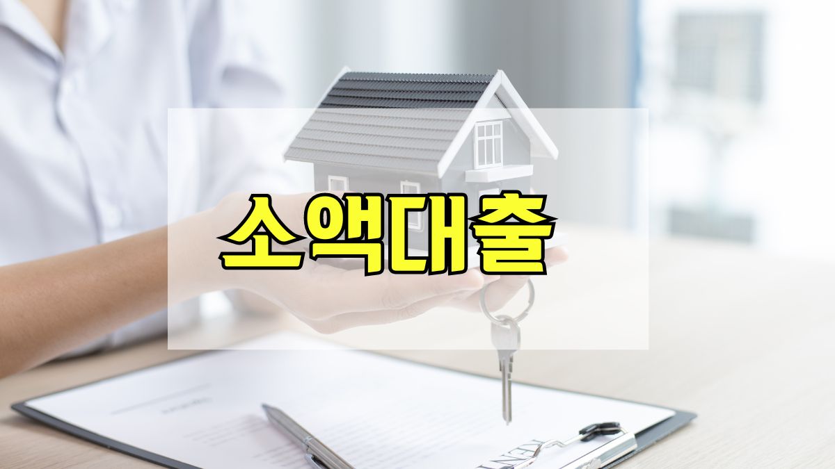 소액대출