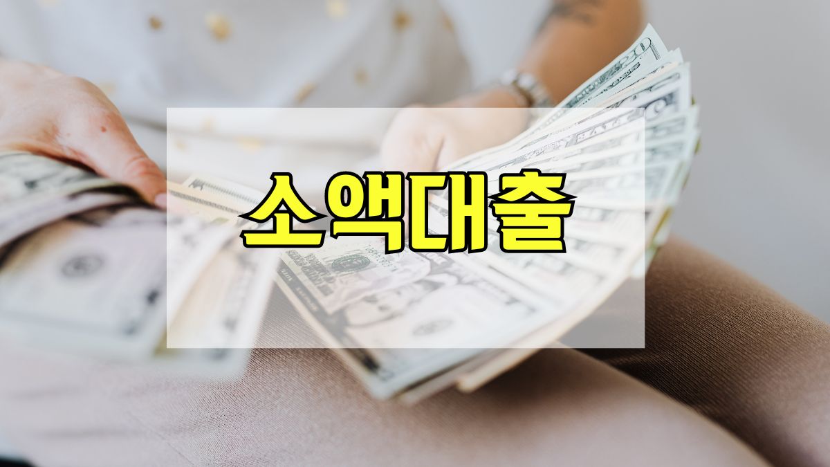 소액대출