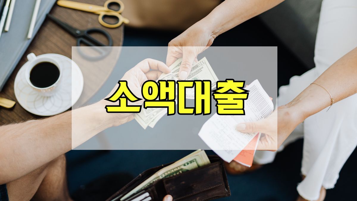 소액대출
